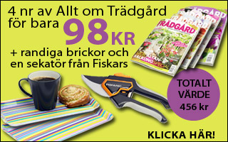 Allt om tr&auml;dg&aring;rd